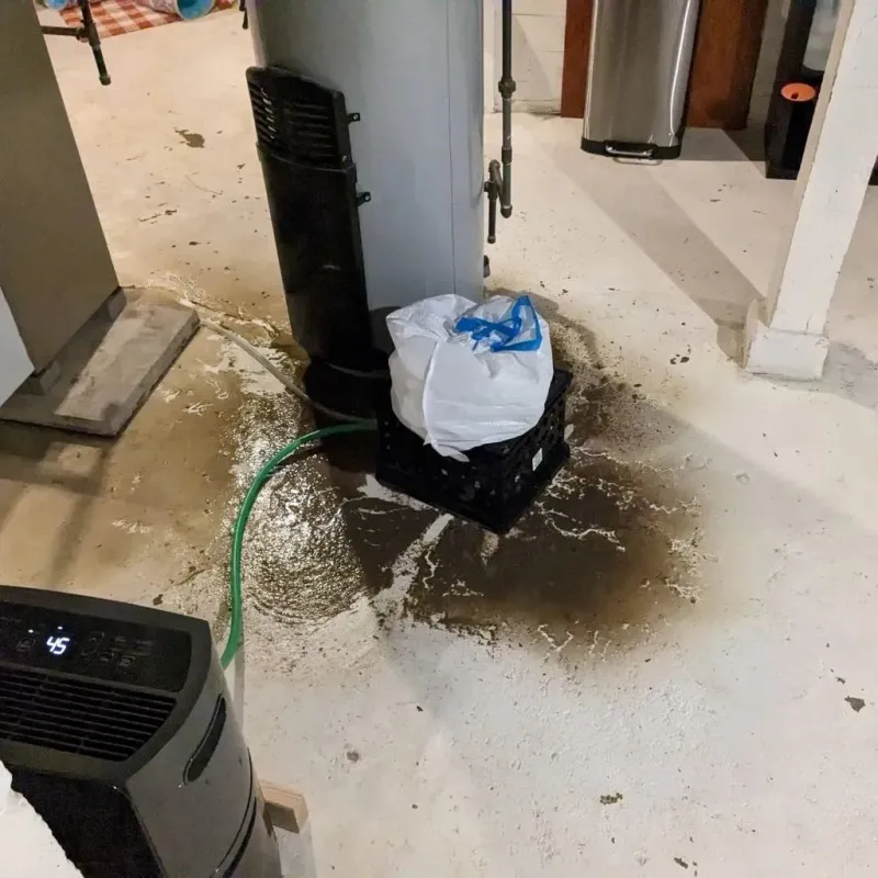 Sewage Backup Cleanup Service in Walford, IA